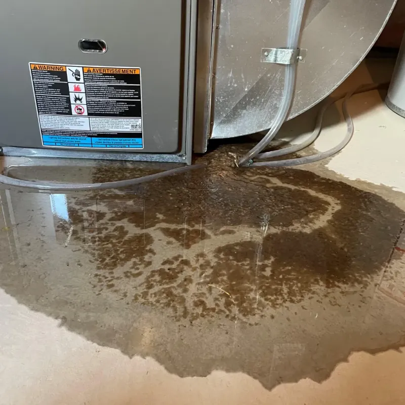 Appliance Leak Cleanup in Bay Village, OH